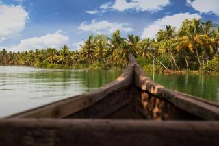 Vinis Farm - A Private Island Stay -Privacy Redefined !!! - Munroe Island - 7