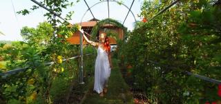 Vinis Farm - A Private Island Stay -Privacy Redefined !!! - Munroe Island - 1