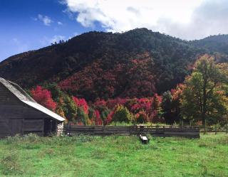 Refugio de montaña El Huape - 2