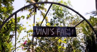 Vinis Farm - A Private Island Stay -Privacy Redefined !!! - Munroe Island - 4
