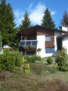 Arnika Montana - Brigels - 0