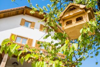 Guest house Domačija Krnc - Hrib pri Hinjah - 2