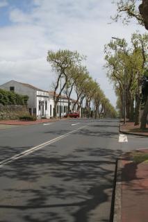 Casa Azul Natura - Ponta Delgada - 6