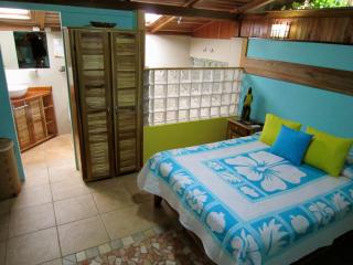 Physis Caribbean Bed & Breakfast - Puerto Viejo - 6