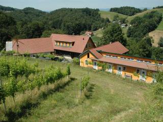 Weingut Schatz - Heimschuh - 6