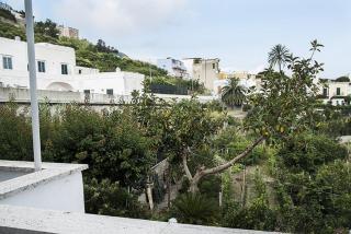 Salvatore 6 - Ponza - 5