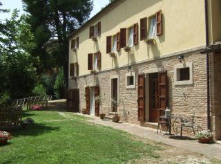 Agriturismo La Casa della Lavanda - Il Casale - Monte San Vito - 3