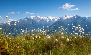 Rodlers Chalet - Piesendorf - 4