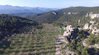 Hotel Mas de la Serra - 7