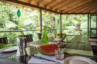 Cape Tribulation Holiday House - Cape Tribulation - 4