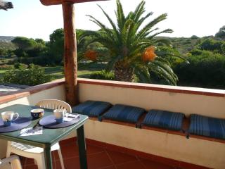 PalmTreeHouse-SardiniaEncharming&Relaxing - Olbia - 9