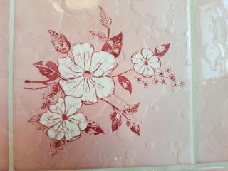 NDP Family (Ndong Du Pierrier) - 4