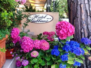 Hotel Gabbiano - Riccione - 3