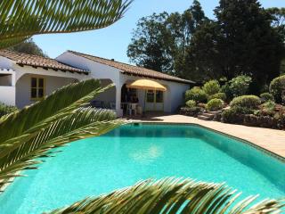 Quinta Falzina - Luz - 1