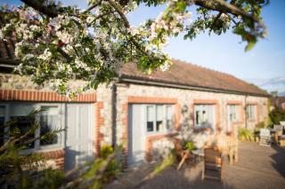 The Tytherleigh Arms - 9
