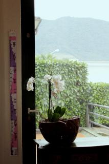 Hotel Garni Centro - Chiasso - 1