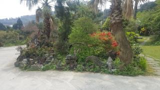 Dreaming Forest Pension Seogwipo - 2