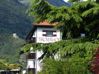 Parkhotel Tirolerhof - Lagundo - 3