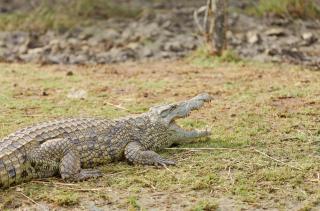 First Group Lake View Cabanas - St Lucia - 8