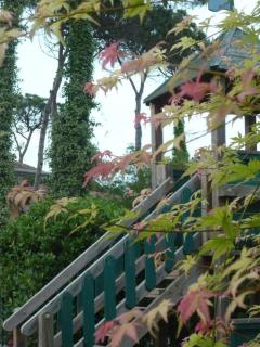Hotel Lily - Bibione - 1