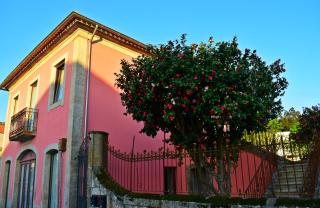 Casas Marias de Portugal - Cerveira - Vila Nova de Cerveira - 0