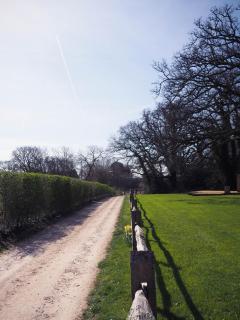 Old Dairy Farm Glamping - Emsworth - 7