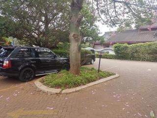 China Garden - Nairobi - 3