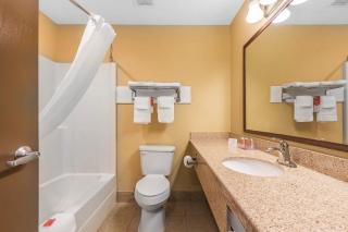 Econo Lodge Boaz - 9
