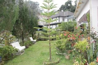 KRS Pines GuestHouse - Cameron Highlands - 3