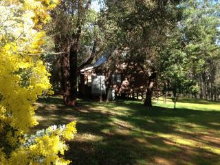 Beyonderup Falls Adult Retreat - Nannup - 8