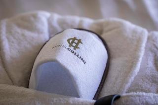Hotel Collini - 4