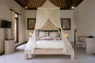Virmas Private Villa - Ubud - 7