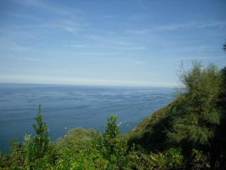 Stella del Mattino - Pesaro - 5
