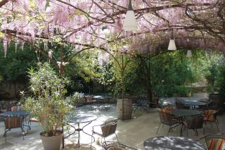 Hotel Mas De Cure Bourse - LʼIsle-sur-la-Sorgue - 7