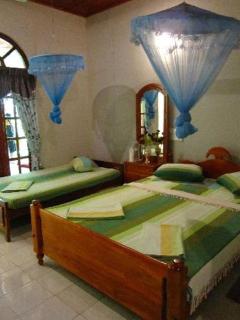 Elephant Camp Guest House - Tissamaharama - 1