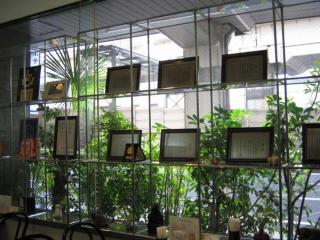 Nishishinjuku Green Hotel - Tokyo - 1