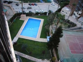 Acacias 4 - Fincas Arena - Benidorm - 9