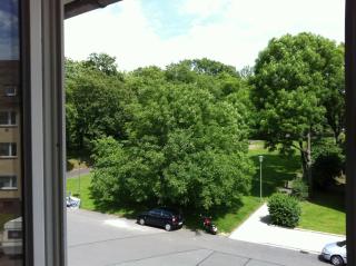 ask rooms Privatzimmer in Kassel - Kassel - 1