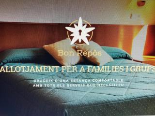 Hotel Bon Repos - Bellver de Cerdanya - 4
