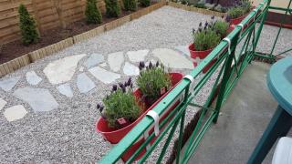 StudioSpanie Apartment Magnolia z tarasem 2 sypialnie - 2