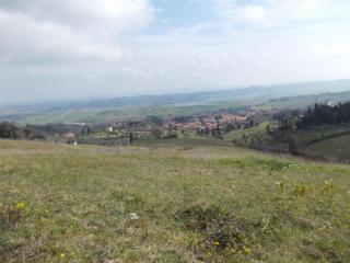 Le Pergoline B&B - Casciana Terme - 1