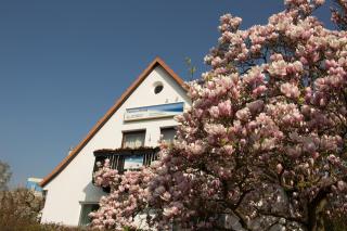 Pension König - Kassel - 4