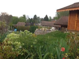Le bois ramé - Neuvecelle - 2