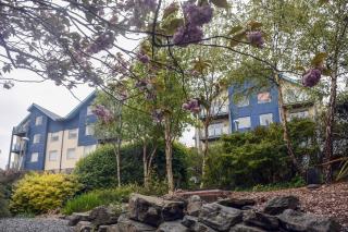Parc y Bryn Serviced Apartments - 6