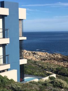 Royal Albatros - Gansbaai - 7