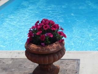 Slow living beautiful villa - Rafina - 5