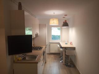 Lexy's Apartment - Braşov - 5