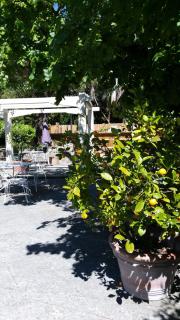 Le Clos du Loup - La Colle-sur-Loup - 7
