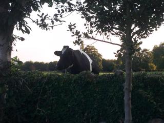 Bishops Farm - Thornbury - 5