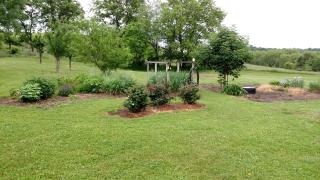 Country Diamond - Sidney - 4